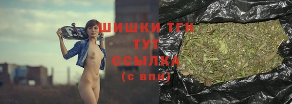 стаф Абдулино