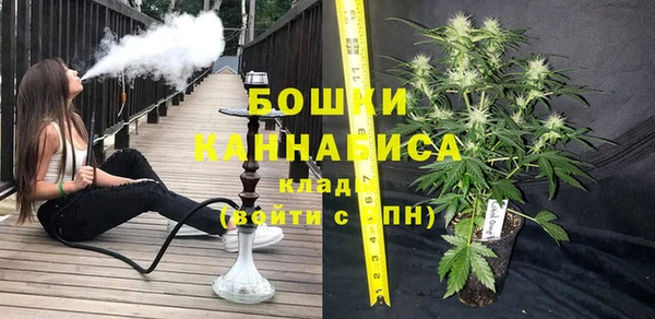ГАЛЛЮЦИНОГЕННЫЕ ГРИБЫ Абаза