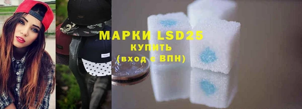 ГАЛЛЮЦИНОГЕННЫЕ ГРИБЫ Абаза