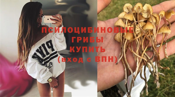 стаф Абдулино