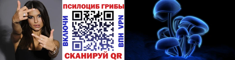 Галлюциногенные грибы прущие грибы  Исилькуль 